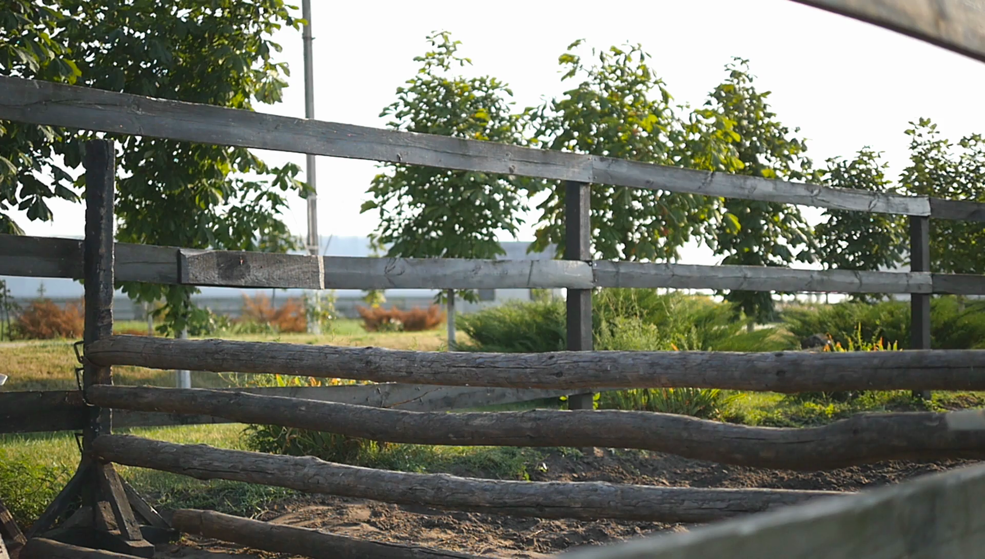 Wight Animal Bedding